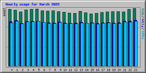 Hourly usage for March 2025