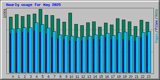 Hourly usage for May 2025