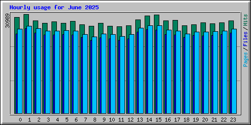 Hourly usage for June 2025