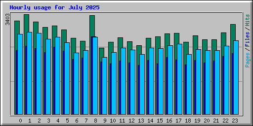 Hourly usage for July 2025