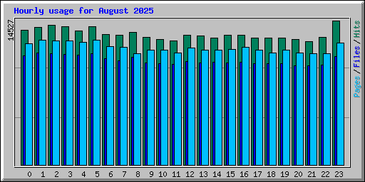 Hourly usage for August 2025