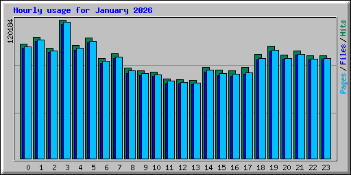 Hourly usage for January 2026